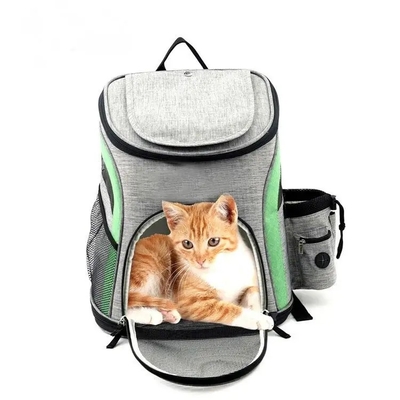 O curso expansível Carry Pet Carrier Backpack Airline aprovou